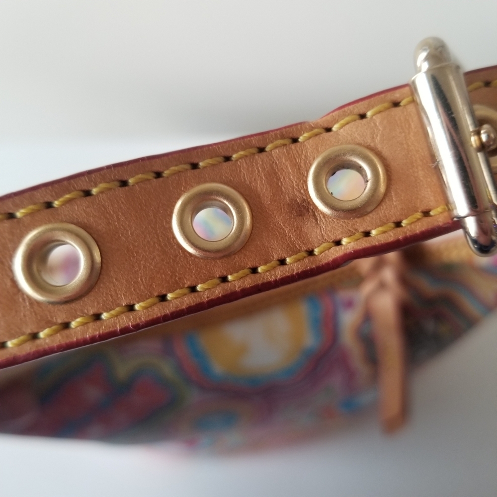 Dooney & Bourke Disney Pop Princess Hobo Bucket Bag - Picture 12 of 15